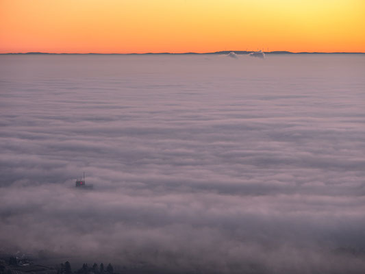 Morgennebel am Sühnekreuz