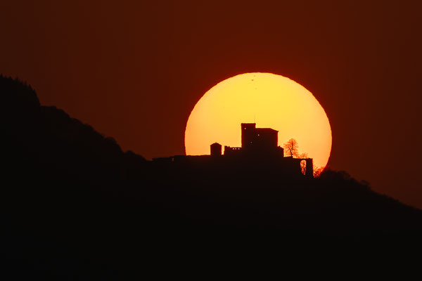 Sonnenuntergang hinter der Burg Trifels