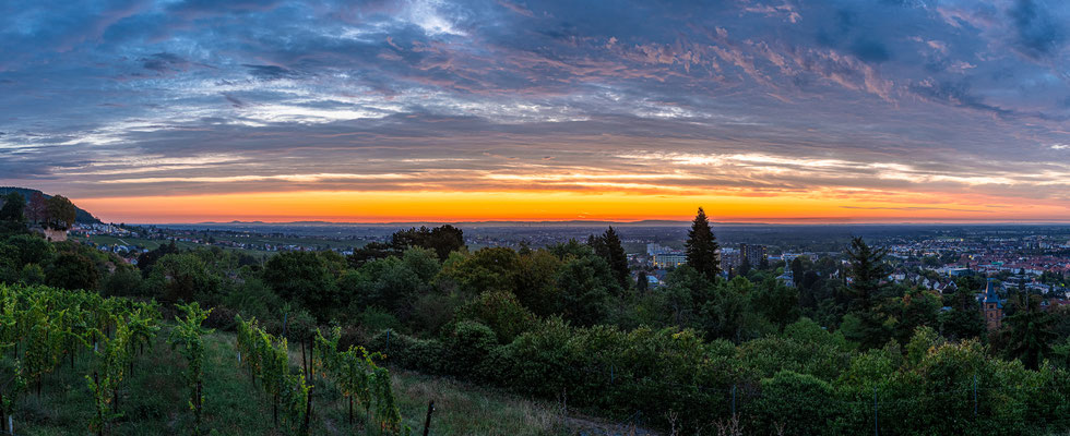 Sonnenaufgang über Neustadt