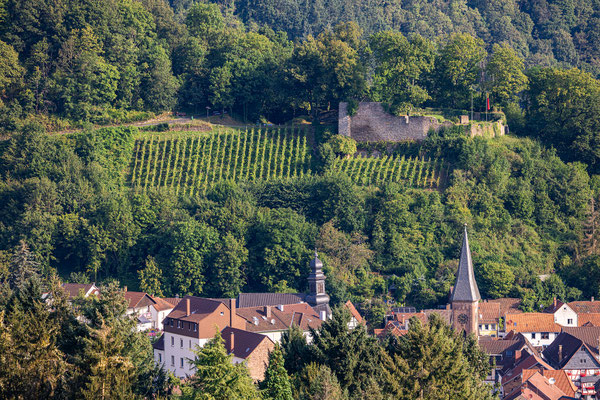 Blick über Wolfstein