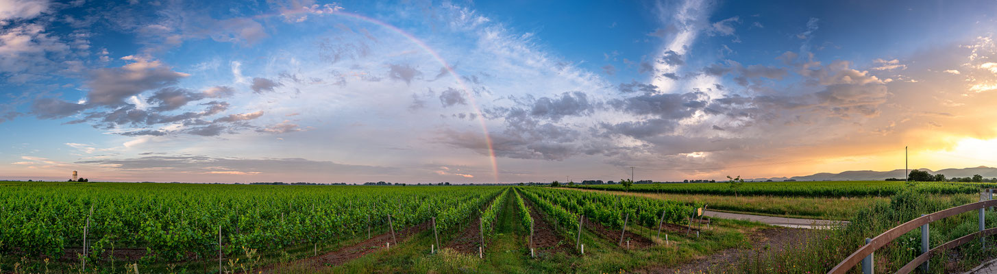 Sonnenuntergang bei Duttweiler