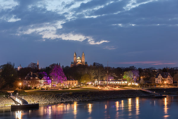 Abendstimmung in Speyer am Rhein