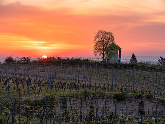 Sonnenaufgang am Deidesheimer Tempel