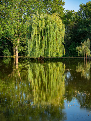 Hochwasser im Stadtpark Speyer