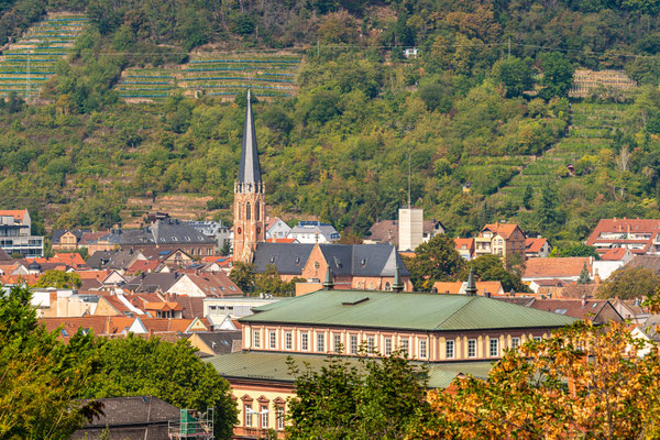Blick auf die Marienkirche