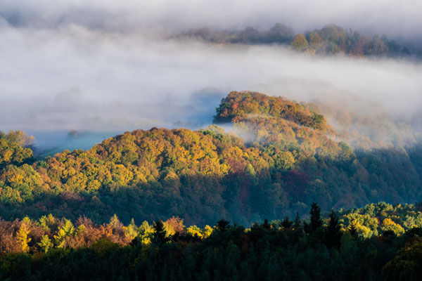 Herbstwald