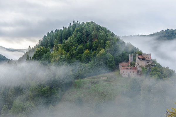 Morgennebel über der Burg Spangenberg