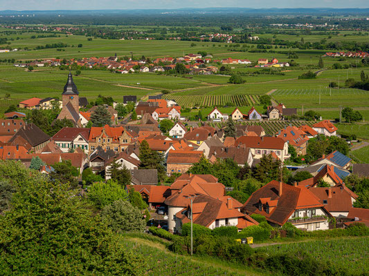 Blick auf Burrweiler