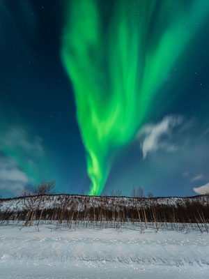 Polarlichter auf der Insel Senja