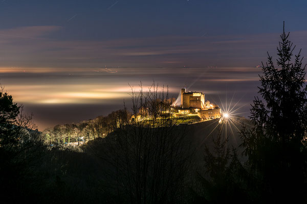 Nebelstimmung am Hambacher Schloss