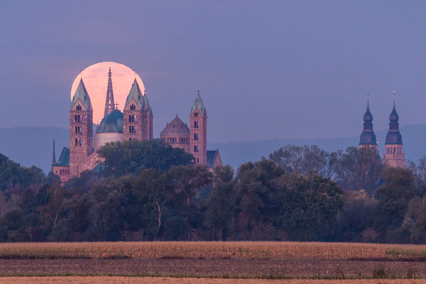 Vollmonduntergang hinter dem Speyerer Dom