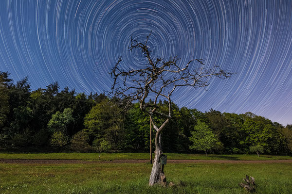 Startrail (Sternspurenaufnahmen) tief in der Südpfalz