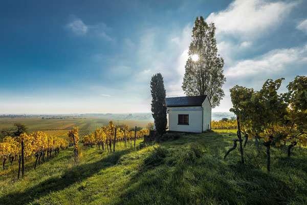 Am Sonnentempel bei Maikammer