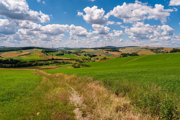 Landschaft bei Schallodenbach