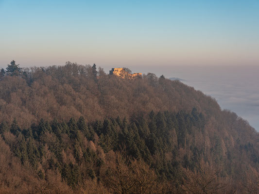 Blick auf die Wegelnburg