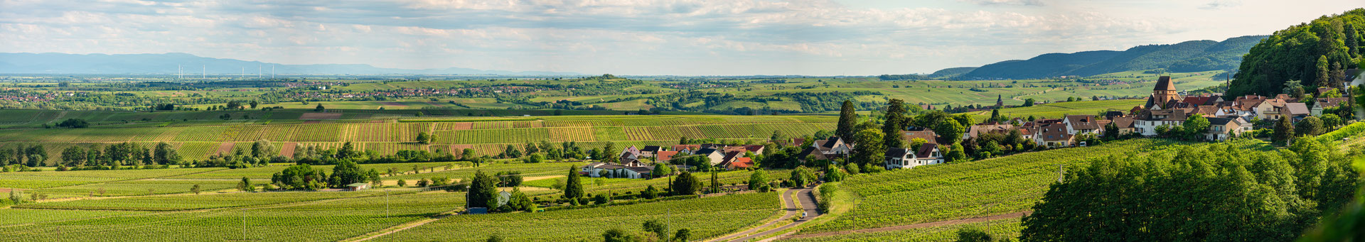 Blick auf Gleisweiler