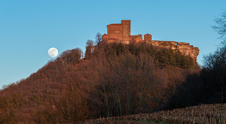 Vollmondaufgang hinter der Burg Trifels