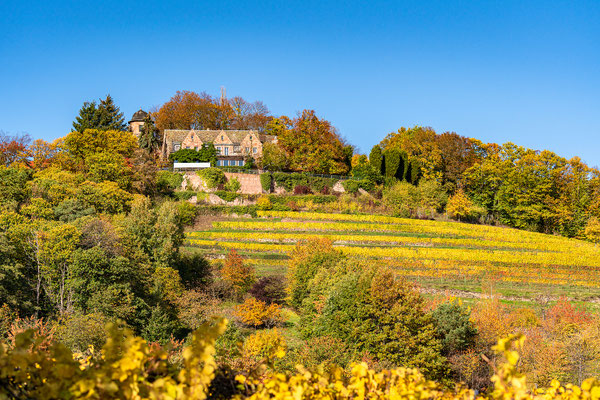 Goldener Herbst bei Sankt Martin