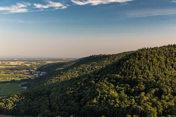 Aussicht auf die Madenburg