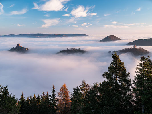 Nebelmorgen am Rehbergturm