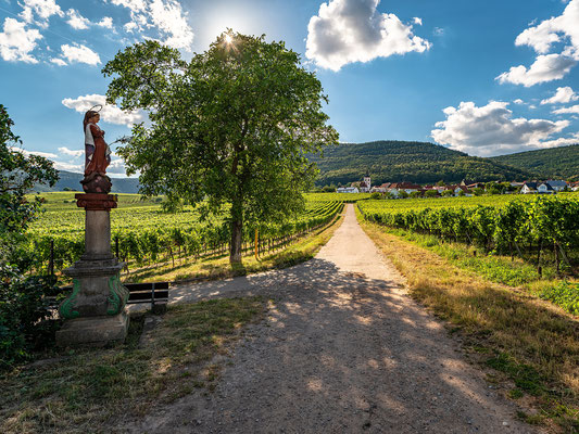 Blick auf Weyher