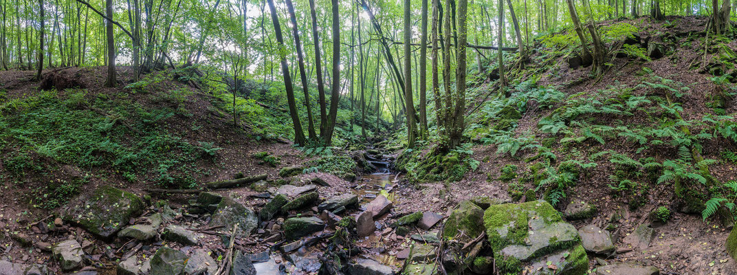 In der Margarethenschlucht