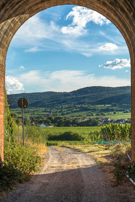 Blick auf Forst und Pfälzerwald