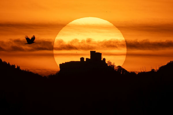 Bei Duttweiler: Sonnenuntergang hinter der Burg Trifels