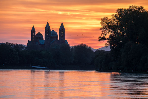Sonnenuntergang hinter dem Speyerer Dom
