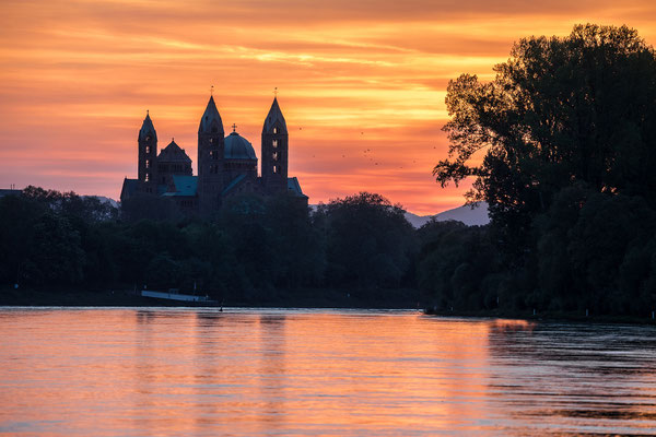 Sonnenuntergang hinter dem Speyerer Dom