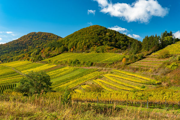 Herbstlandschaften bei Birkweiler