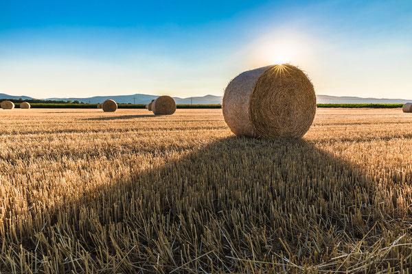 Sonnenuntergang mit Strohballen bei Hassloch