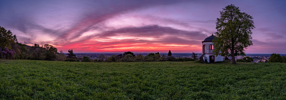 Sonnenaufgang beim Deidesheimer Tempel