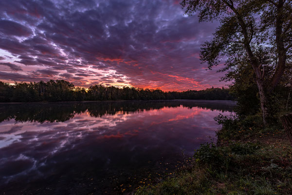 Wunderbarer Sonnenaufgang bei Hassloch