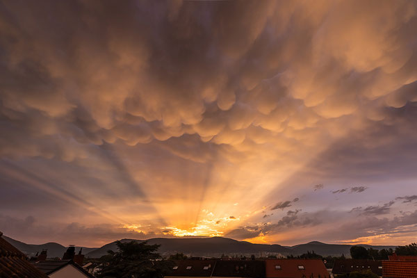 Selten so gut zu sehende Mammatus-Wolken über Neustadt