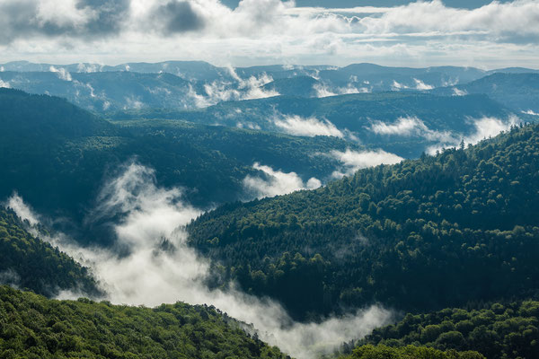 Nebelfetzen über dem Pfälzerwald