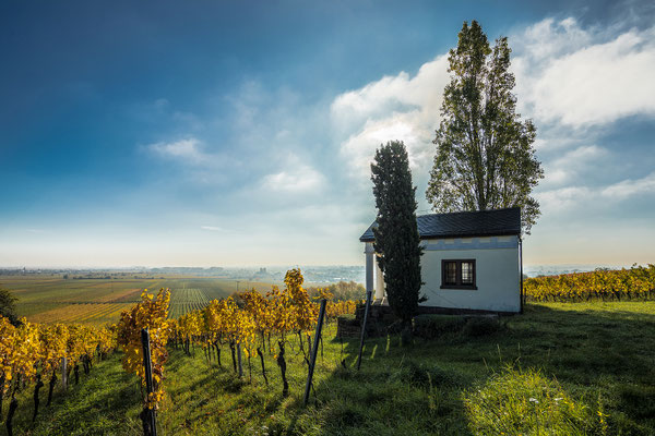 Am Sonnentempel bei Maikammer
