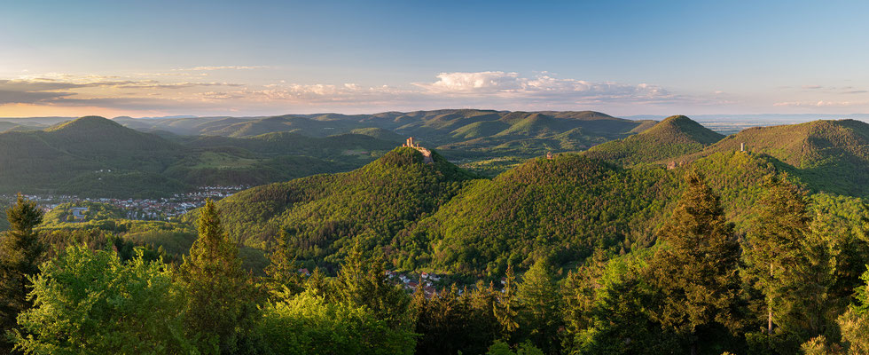 Frühsommerabend auf dem Rehbergturm
