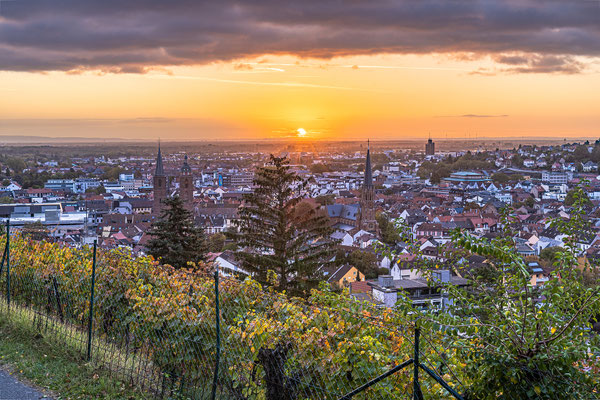 Sonnenaufgang über Neustadt