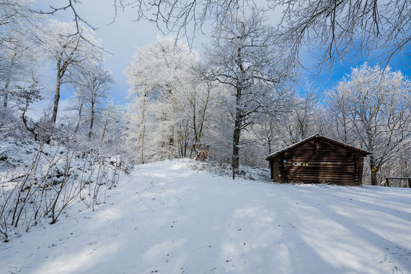Verschneiter Wald am Hirtenfels