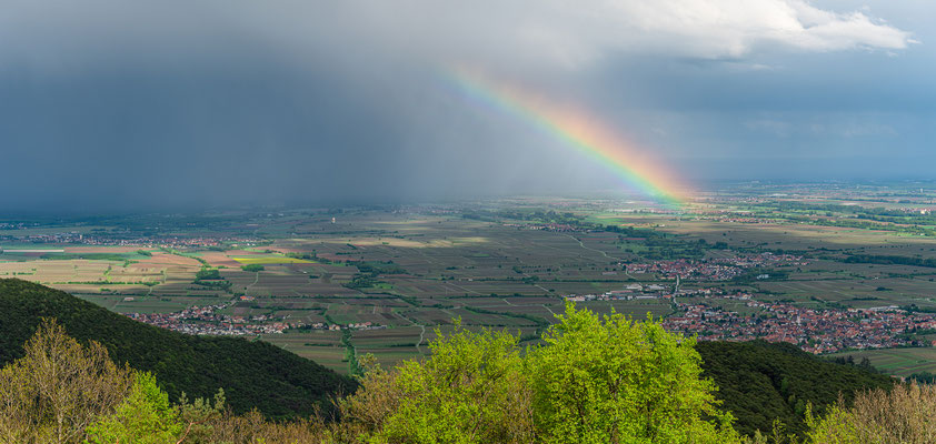 Nach dem Regen auf der Kalmit