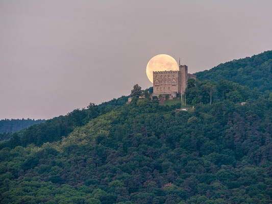 Vollmonduntergang hinter dem Hambacher Schloss