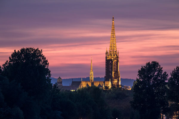 Blaue Stunde am Rhein bei Speyer