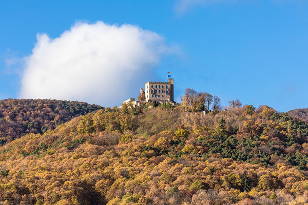 Herbst am Hambacher Schloss
