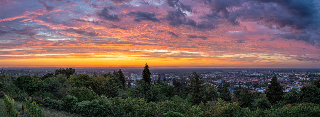 Sonnenaufgang über Neustadt