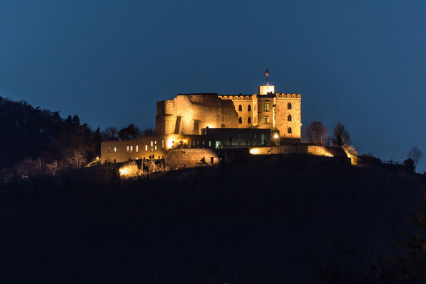 Blick aufs Hambacher Schloss