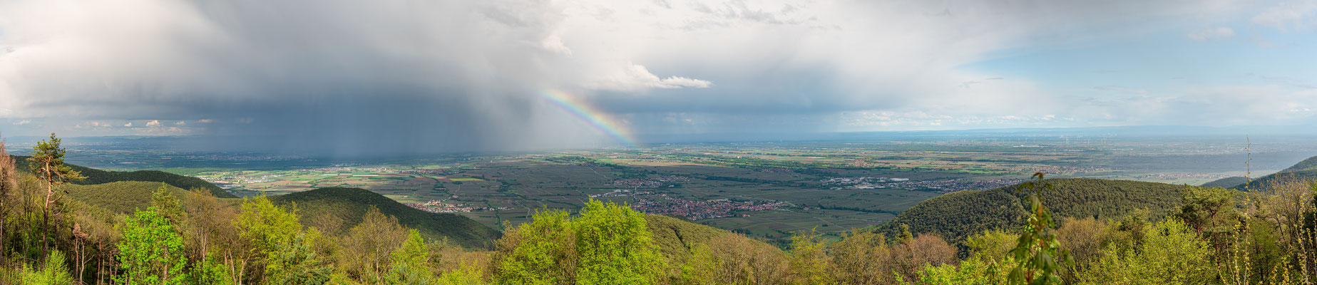 Nach dem Regen auf der Kalmit