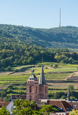 Stiftskirche Neustadt