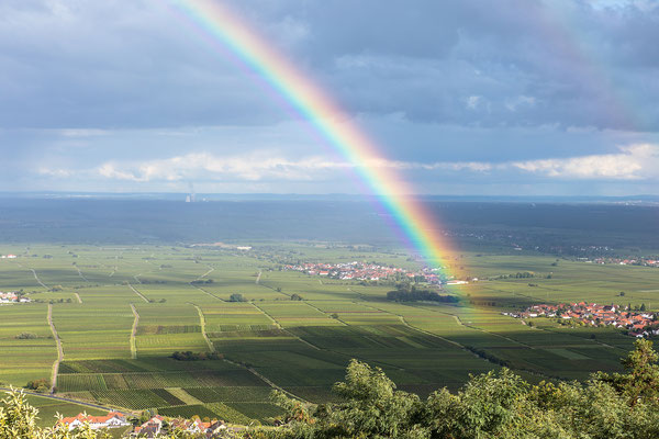 Regenbogen über der Rheinebene