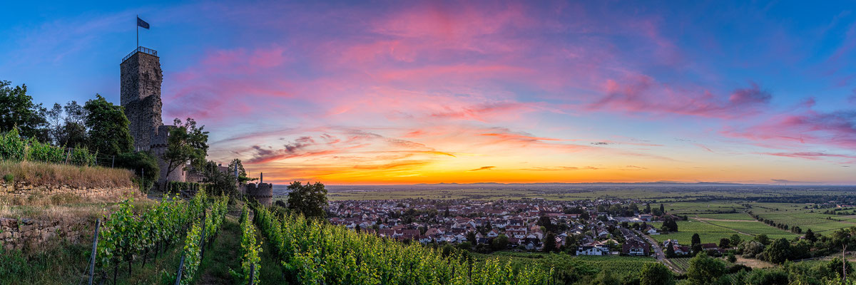Morgenstimmung an der Wachtenburg, 120 x 40 cm, Alu-Dibond, Rückseitige Hängung mit Aluminiumschiene, 280 €
